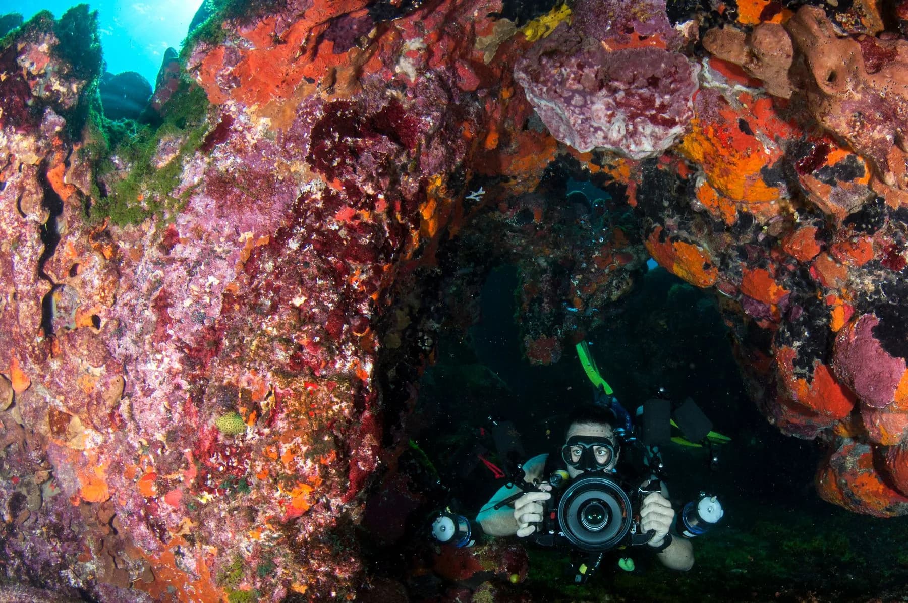Un photographe sous-marin au milieu des coraux